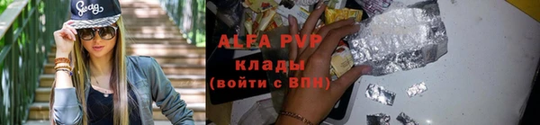 дмт Щигры
